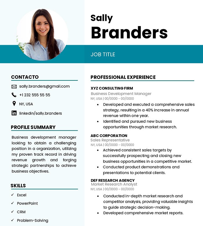 Modern Professional Resume Template preview