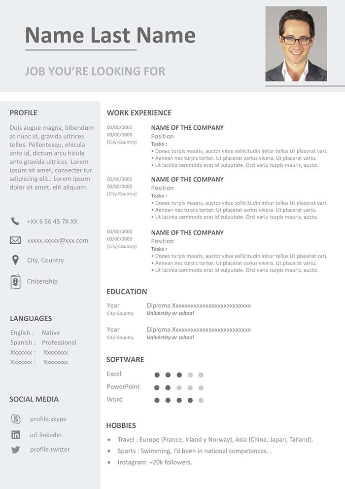 Classic Professional Resume Template preview
